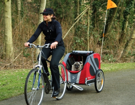 DoggyRide Novel Rood Cabin Only-487