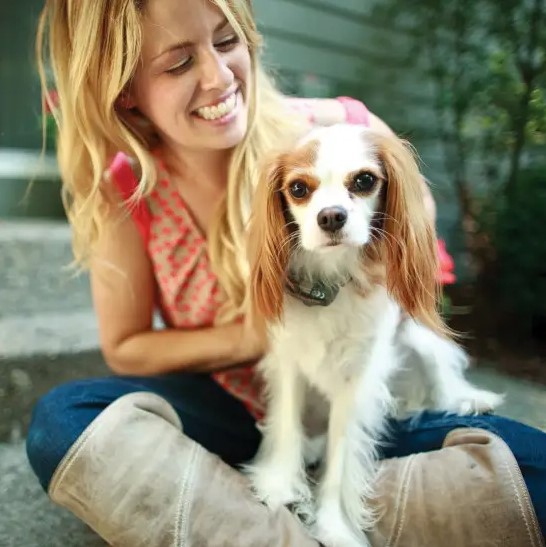 PetSafe Omheining kleine hond