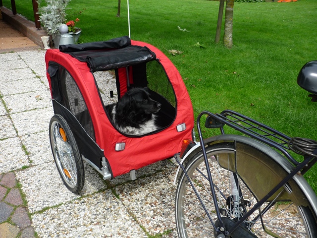 Fietskar Runner 2 Rood / Grijs-655