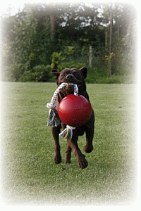 Romp-Roll 10 cm Small - Jolly ball-0