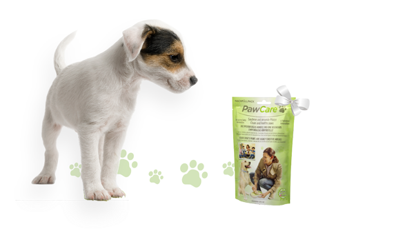 Pawcare poten reininger Navulling-0