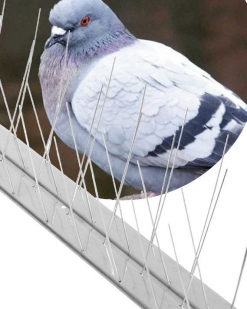 duivenpen dierenshop
