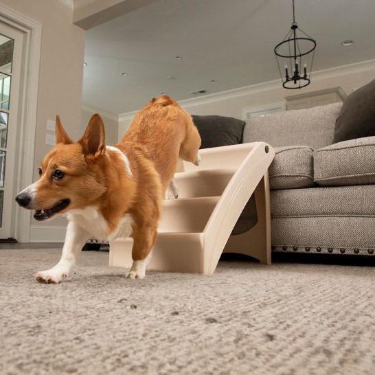Pup step Op stap trap voor honden-0