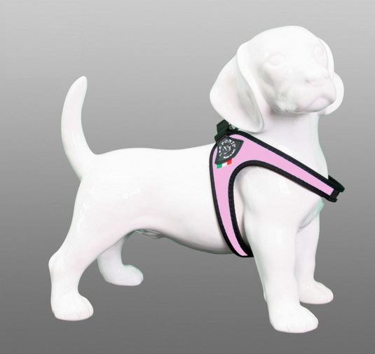 Tre Ponti Fibbia Roze Standaard EASYFIT-0