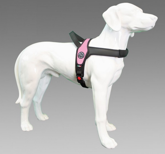 Tre Ponti Primo Basic Roze-0