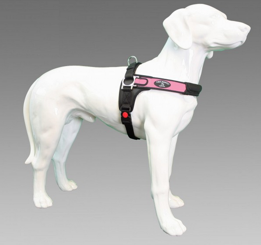 Tre Ponti Forza Standaard Roze-0