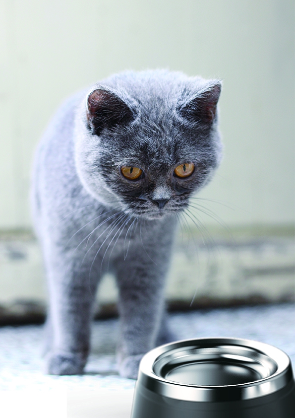 Smart pet i-bowl petalways-6501