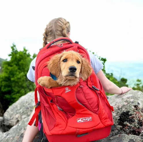 Kurgo rugtas voor kleine honden Kurgo rugtas voor kleine honden