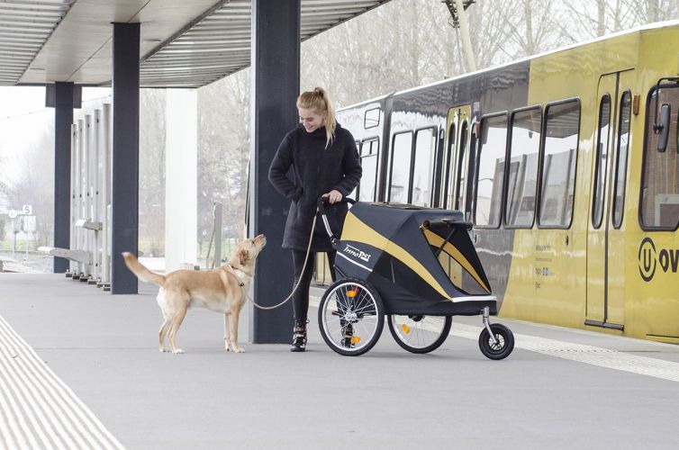 Innopet fietskar en buggy Hercules tot 50 kg-8098
